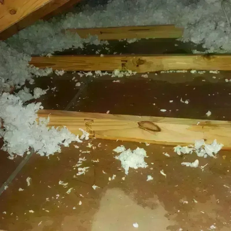 Attic Water Damage in Childress, TX