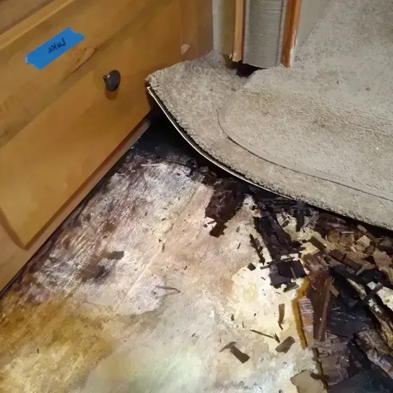 Wood Floor Water Damage in Childress, TX